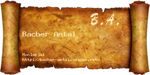 Bacher Antal névjegykártya