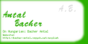 antal bacher business card